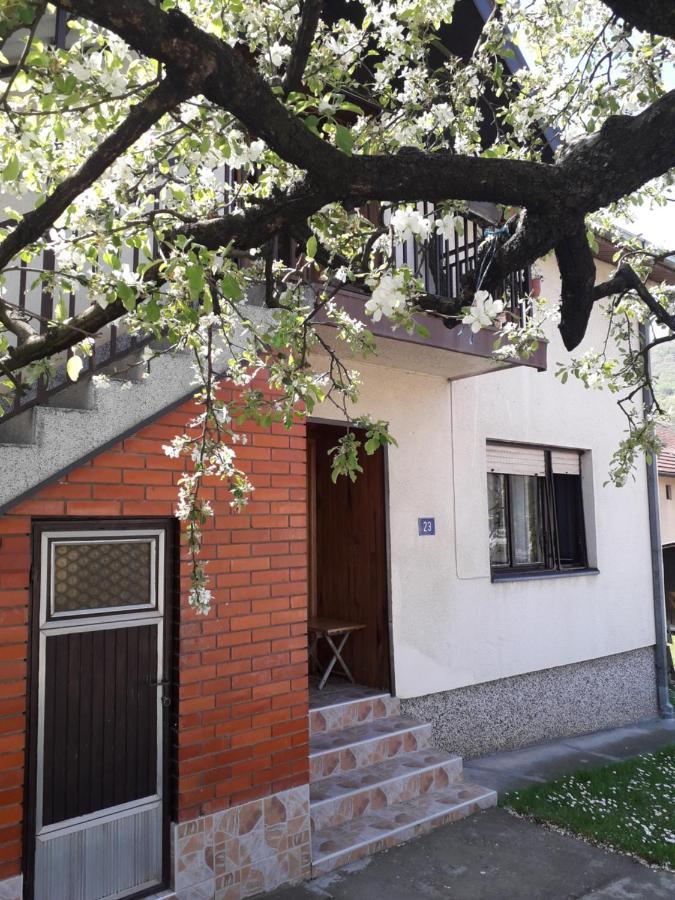 Rakic Apartman Bajina Basta Exterior foto